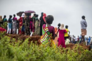 シニアの50代におすすめの一人旅ツアーは？